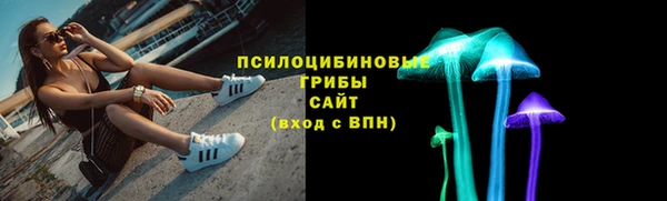 apvp Нефтекумск
