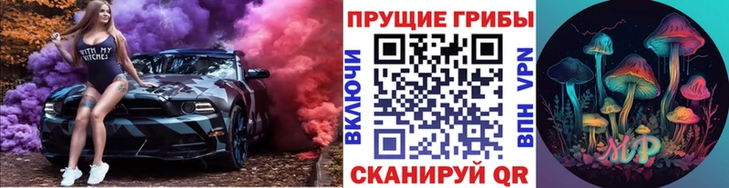 MEGA ТОР  Северобайкальск  Псилоцибиновые грибы прущие грибы 